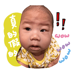 檸檬姊和胖飛弟的生活日常