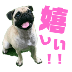 hikari_20210627153703