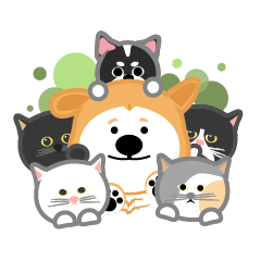 WuTsai Shiba Inu(family)