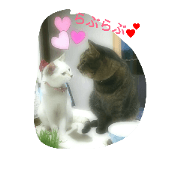mi-ya & mary