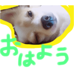 HITOKOTO STAMPU