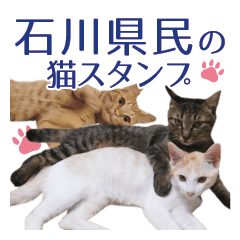 Ishikawa Dialect Cat