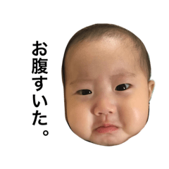 jojomarukun2