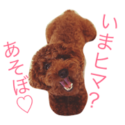 UmeUmeUme
