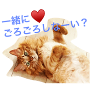 Kanta stickers