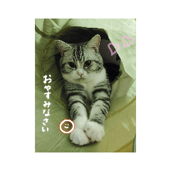 nonta_20210627221856