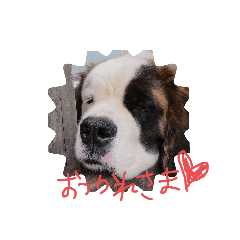 miko_20210627182341
