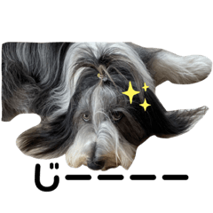 mizuki_20210627200313