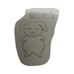 小貓咪和小兔子♡