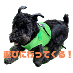 arisa_20210627200727