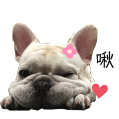 皮皮小寶貝*ଘ(੭*ˊᵕˋ)੭* ੈ✩‧₊˚