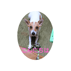 Claire_20210627173146