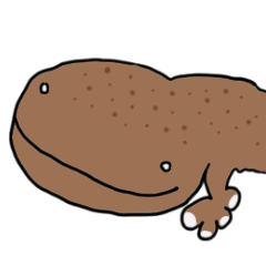 relaxed giant salamanders