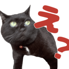 RokuSticker