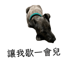 我家可愛的狗狗