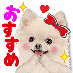 かわいい犬たち ガーリー系 敬語スタンプ Line スタンプ Line Store