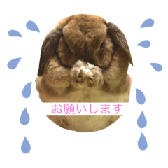 Yuka_20210627235644