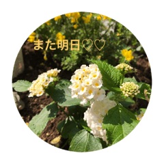 hana_20210628133748