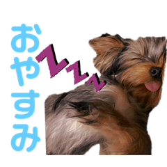 chie_20210628134636