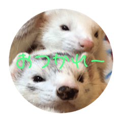 alice_20210628075427