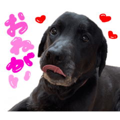 seira_20210628143507