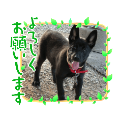 chie_20210628115653