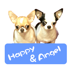 Happy&Angel