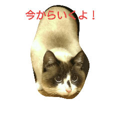 mmaann