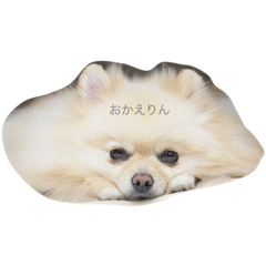 rina_20210628143614