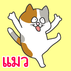 แมวสามเหมา