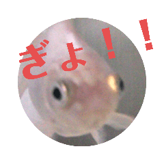 yukari_20210628171428