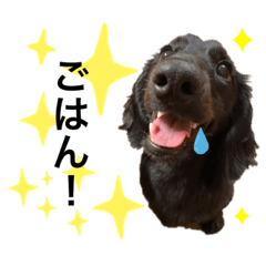 satoshi_20210628185702