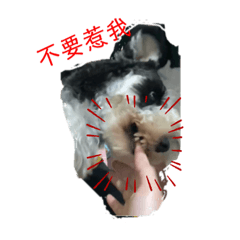 布魯托萌萌貼圖2