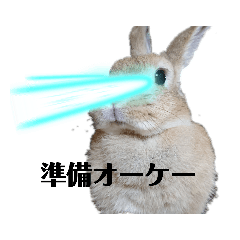 tomomi_20210628211229