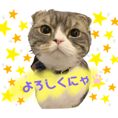 PONZU_20210629004433