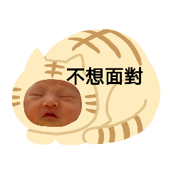 小魚干日誌2