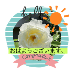 akiko_20210628185412