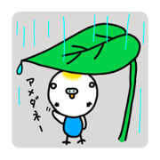 chi-chan_20210629095038