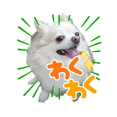 yuka_20210628203837