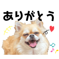 James_20210629005617