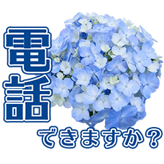 Seasonal flowers, greetings in Japanese
