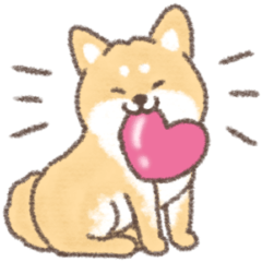 always shiba inu