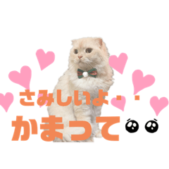 aoi_20210629123443