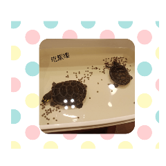 偶們是龜寶