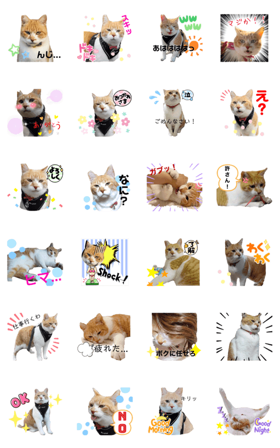 Amazon Co Jp だいすき ぶぶチャチャ 6 Dvd Dvd ブルーレイ 笹本優子 長島雄一 田中敦子 鈴木琢磨 高田由美