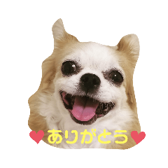 yukari_20210629145424