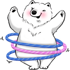 Cute polar bear-DaDa-1