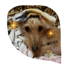 Kaori_20210629181830