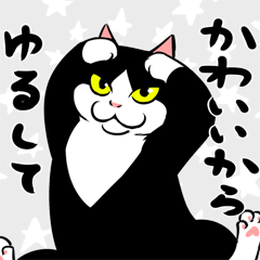 A little fat cat anime(Healing Words)
