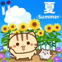 It's summer! Neko-chan Hum-chan